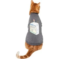 Frisco Birthday Pup Dog & Cat T-Shirt -Frisco 315076 PT2. AC SS1800 V1646432513
