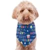 Frisco Celebration Dog & Cat Bandana -Frisco 315133 MAIN. AC SS1800 V1646438946