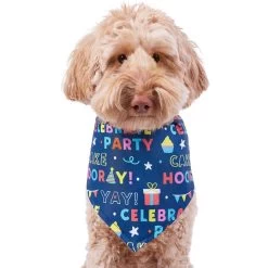 Frisco Celebration Dog & Cat Bandana