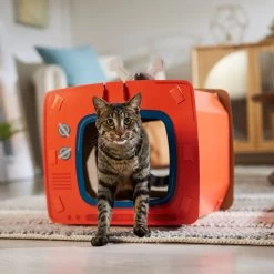 Frisco TV Set Cardboard Cat House 12 Frisco TV Set Cardboard Cat House -Frisco 317731 PT4. AC SS1800 V1688677247