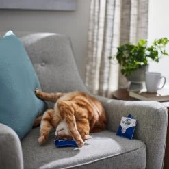 Frisco Father's Day Card Felt Cat Toy With Catnip, 2 Count -Frisco 327029 PT3. AC SS1800 V1648667305