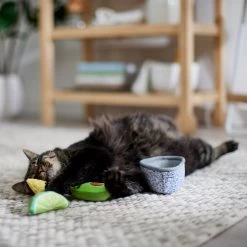 Frisco Guacamole Bowl Cat Toy With Catnip, Medium, 4 Count -Frisco 327059 PT3. AC SS1800 V1645205519