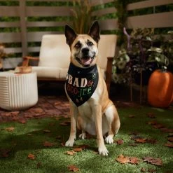 Frisco Bad & Boo-Jee Dog & Cat Costume Bandana -Frisco 334807 PT6. AC SS1800 V1660056594