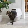 Frisco Modern Hooded Cat Litter Box -Frisco 341985 MAIN. AC SS1800 V1642605052