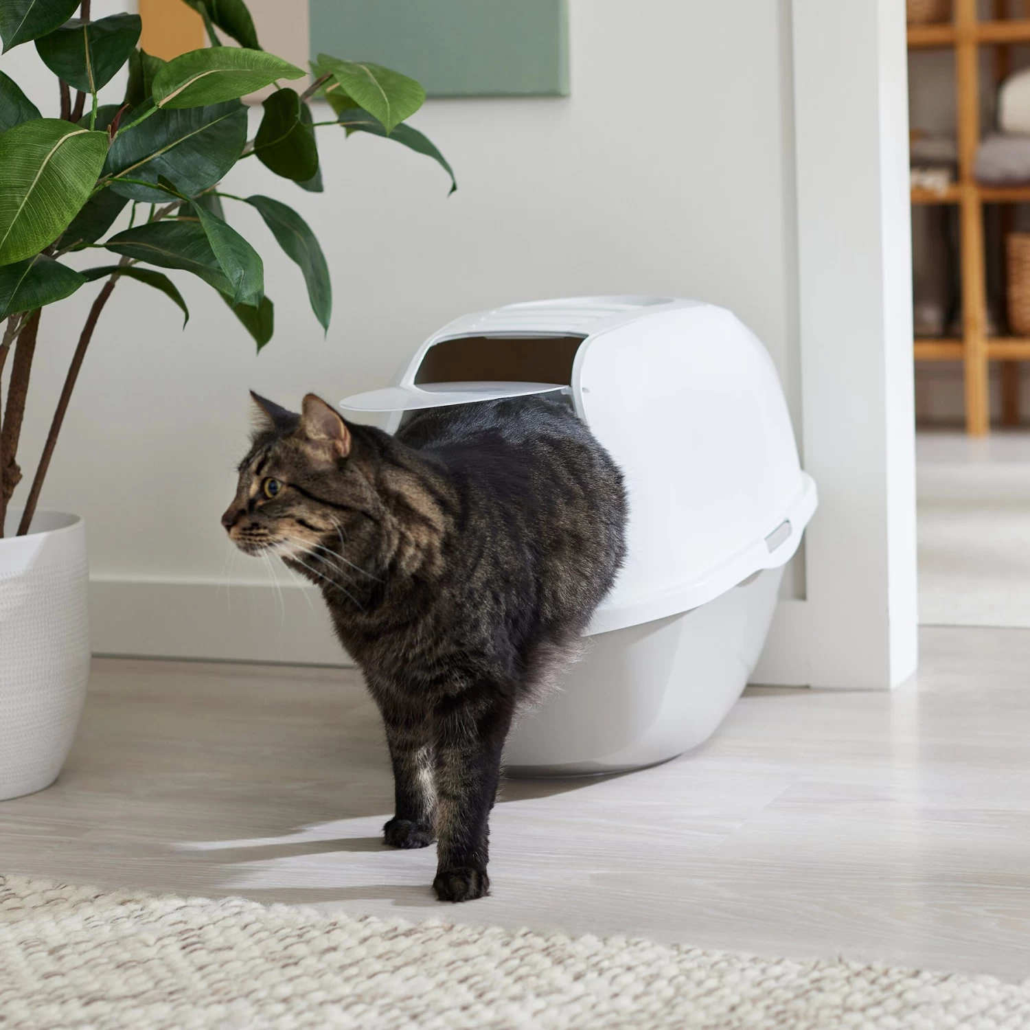 Frisco Modern Hooded Cat Litter Box 3 Frisco Modern Hooded Cat Litter Box