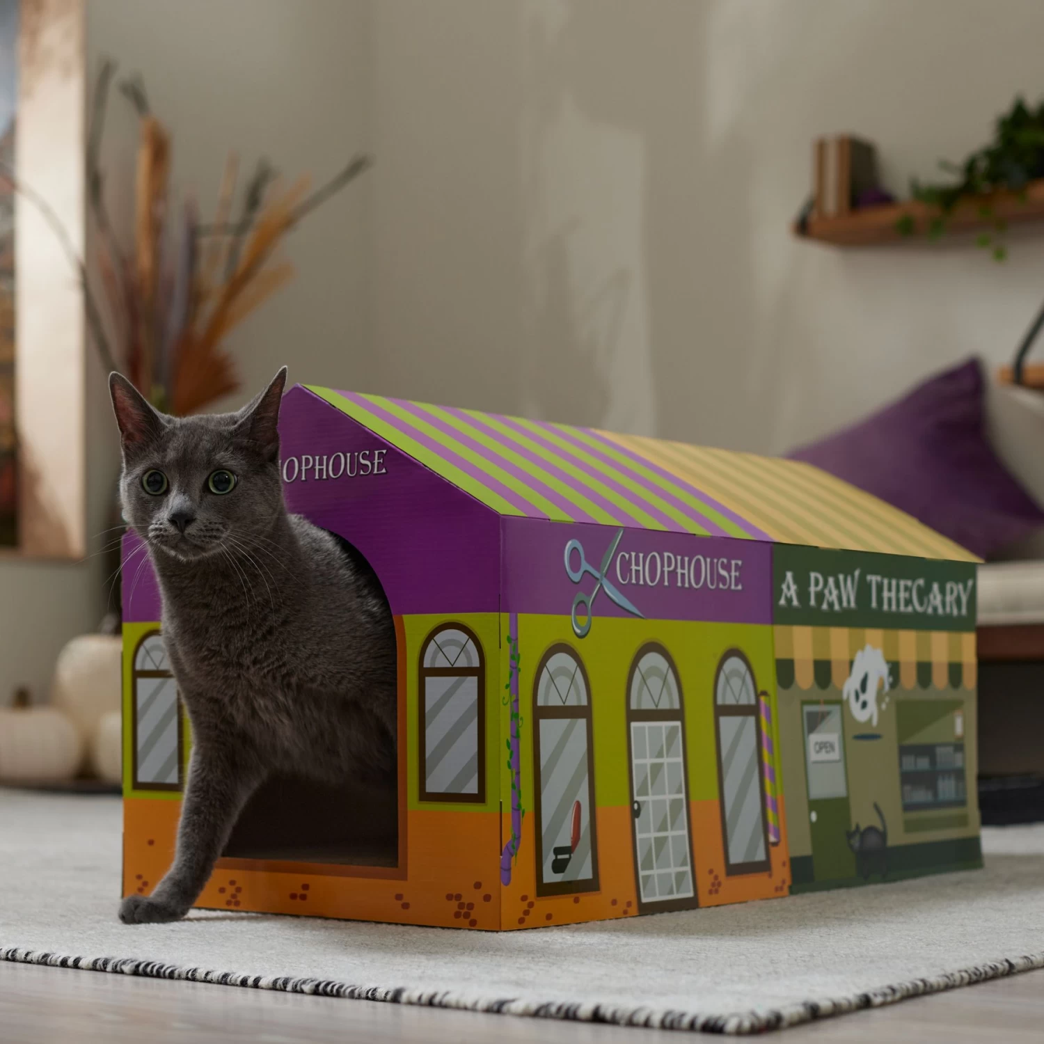 Frisco Halloween A-Paw-Thecary & Chop House Cardboard Cat House With Catnip 6 Frisco Halloween A-Paw-Thecary & Chop House Cardboard Cat House With Catnip - Image 4