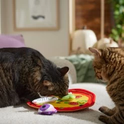 Frisco Halloween Spooky Pizza Interactive Plush Cat Toy With Catnip -Frisco 344066 PT3. AC SS1800 V1657657031