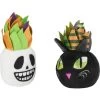 Frisco Halloween Succulents Plush Cat Toy With Catnip, 2 Count 2 Frisco Halloween Succulents Plush Cat Toy With Catnip, 2 Count -Frisco 344082 MAIN. AC SS1800 V1657657033