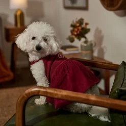 Frisco Sleepy Face Dog & Cat Dress 14 Frisco Sleepy Face Dog & Cat Dress -Frisco 353657 PT6. AC SS1800 V1660750164