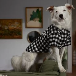 Frisco Black Plaid Dog & Cat Shirt -Frisco 353682 PT7. AC SS1800 V1660749685