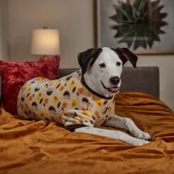 Frisco Hedgehog Dog & Cat Fleece Pajamas 14 Frisco Hedgehog Dog & Cat Fleece Pajamas -Frisco 353730 PT6. AC SS1800 V1660749991