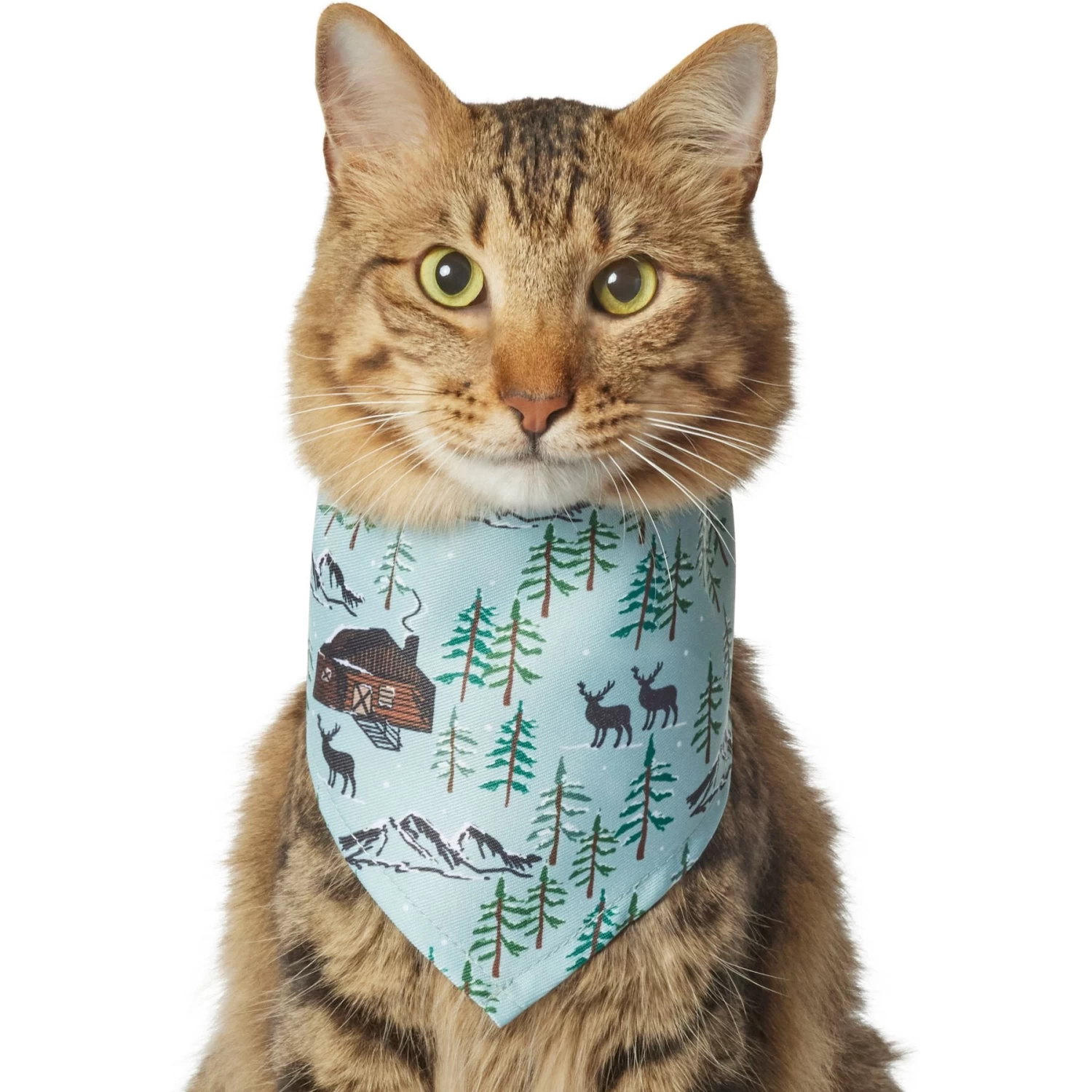 Frisco Moose Lodge Dog & Cat Bandana 3 Frisco Moose Lodge Dog & Cat Bandana