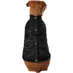 Frisco Lightweight Belted Puffer Dog & Cat Jacket 11 Frisco Lightweight Belted Puffer Dog & Cat Jacket -Frisco 353825 PT2. AC SS1800 V1659010815