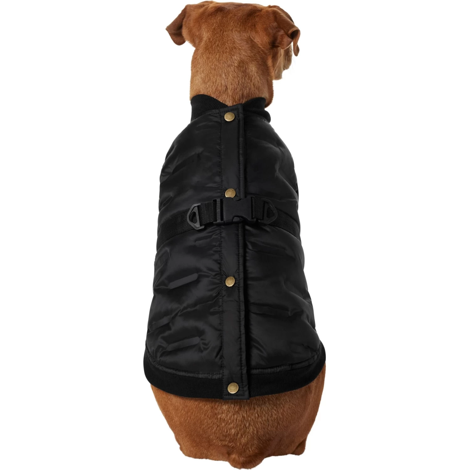 Frisco Lightweight Belted Puffer Dog & Cat Jacket 5 Frisco Lightweight Belted Puffer Dog & Cat Jacket - Image 3