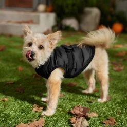 Frisco Lightweight Belted Puffer Dog & Cat Jacket 14 Frisco Lightweight Belted Puffer Dog & Cat Jacket -Frisco 353825 PT7. AC SS1800 V1660749777