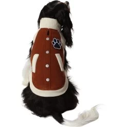 Frisco Lightweight Varsity Dog & Cat Jacket -Frisco 353861 PT2. AC SS1800 V1659010873