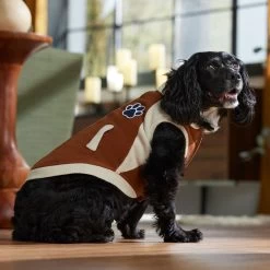 Frisco Lightweight Varsity Dog & Cat Jacket -Frisco 353861 PT7. AC SS1800 V1660749417