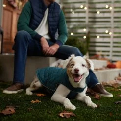 Frisco Mediumweight Reversible Dog & Cat Coat -Frisco 353932 PT7. AC SS1800 V1660749442