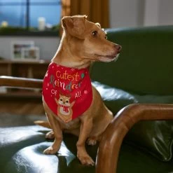 Frisco Cutest Reindeer Of All Dog & Cat Bandana -Frisco 357931 PT6. AC SS1800 V1661798487