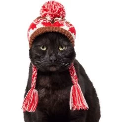 Frisco Reindeer Fair Isle Dog & Cat Pom Hat 10 Frisco Reindeer Fair Isle Dog & Cat Pom Hat -Frisco 358309 PT2. AC SS1800 V1660764825