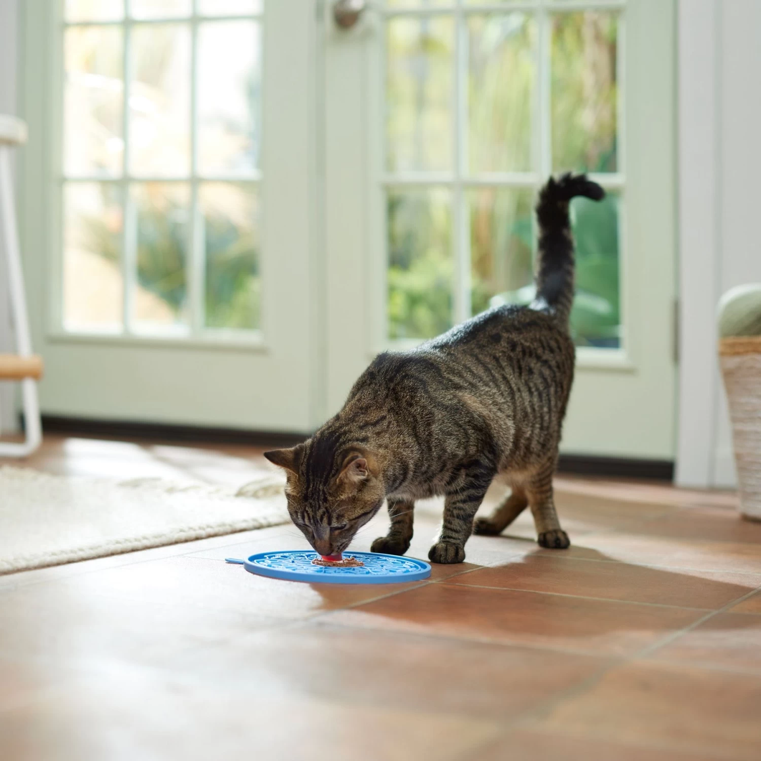 Frisco Non-skid Flower Silicone Dog & Cat Lick Mat, Blue 6 Frisco Non-skid Flower Silicone Dog & Cat Lick Mat, Blue - Image 4