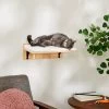 Frisco Cushioned Wall Mounted Cat Wall Shelf -Frisco 373443 MAIN. AC SS1800 V1673025637