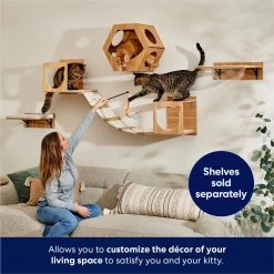 Frisco Cushioned Wall Mounted Cat Wall Shelf -Frisco 373443 PT3. AC SS1800 V1675692706
