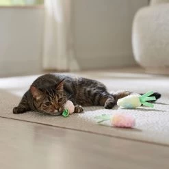 Frisco Easter Carrot Plush Cat Toy With Catnip -Frisco 550470 PT4. AC SS1800 V1702500564