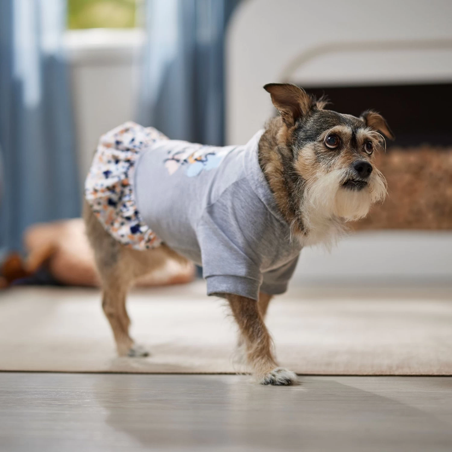 Frisco Stay Wild Dog & Cat Hoodie 9 Frisco Stay Wild Dog & Cat Hoodie - Image 7