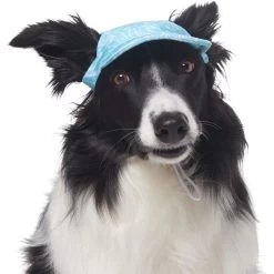 Frisco Blue Ocean Waves 30 + UPF Dog & Cat Beach Cap -Frisco 556182 PT3. AC SS1800 V1677530963