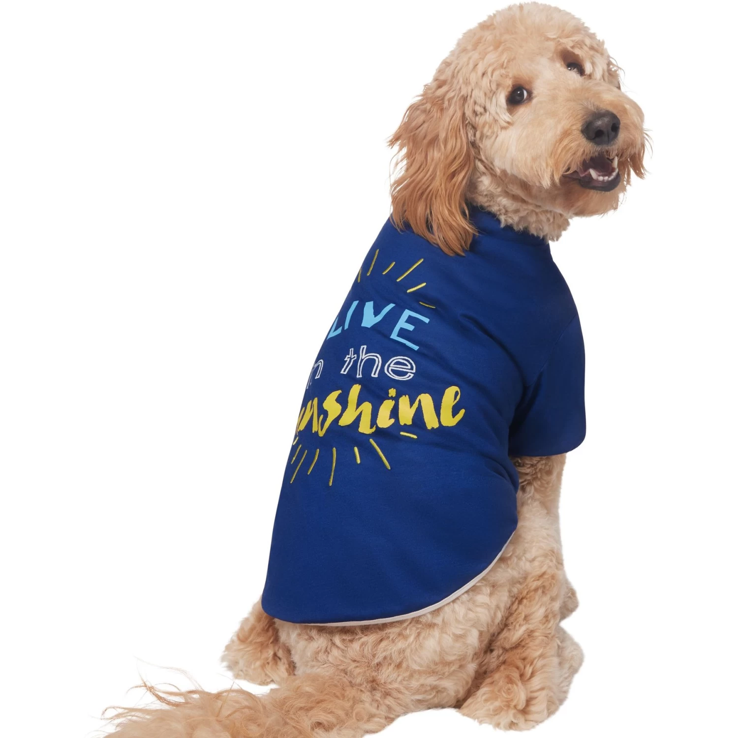 Frisco I Live In The Sunshine Dog & Cat T-Shirt 6 Frisco I Live In The Sunshine Dog & Cat T-Shirt - Image 4