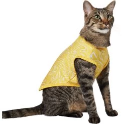 Frisco 30+ UPF Dog & Cat Beach Rash Guard -Frisco 556286 PT3. AC SS1800 V1675714033