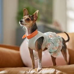 Frisco Tropical State Of Mind Dog & Cat Dress -Frisco 556742 PT5. AC SS1800 V1675101933