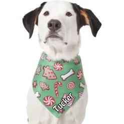 Frisco Gingerbread Treats Personalized Dog & Cat Bandana -Frisco 564502 PT6. AC SS1800 V1660405305