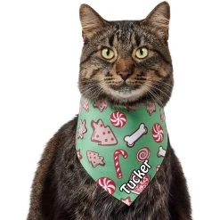 Frisco Gingerbread Treats Personalized Dog & Cat Bandana -Frisco 564502 PT7. AC SS1800 V1660251028
