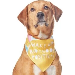Frisco Wake Up Positive Dog & Cat Bandana -Frisco 608230 PT3. AC SS1800 V1676643831