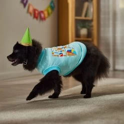 Frisco Birthday Celebration Dog & Cat T-Shirt -Frisco 608318 PT7. AC SS1800 V1676643247