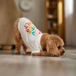 Frisco Good Vibes Only Dog & Cat T-Shirt -Frisco 608518 PT7. AC SS1800 V1676644453