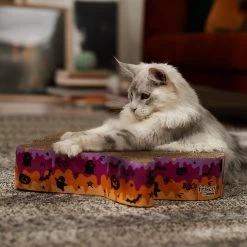 Frisco Halloween Ghost Swirl Scratcher Cat Toy With Catnip -Frisco 668230 PT3. AC SS1800 V1689343997