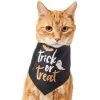 Frisco Trick Or Treat Dog & Cat Bandana -Frisco 706398 MAIN. AC SS1800 V1689271218