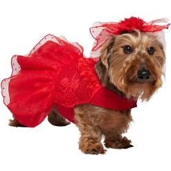 Frisco Red Ruffle Dog & Cat Dress + Headpiece -Frisco 707286 PT2. AC SS1800 V1689355022