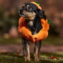 Frisco Pumpkin Ball Dog & Cat Costume -Frisco 708902 PT7. AC SS1800 V1689282553