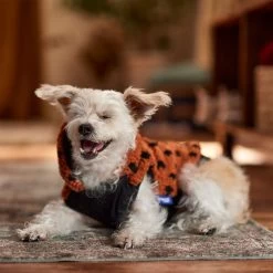 Frisco Dotted Dog & Cat Hoodie -Frisco 718326 PT7. AC SS1800 V1692375977