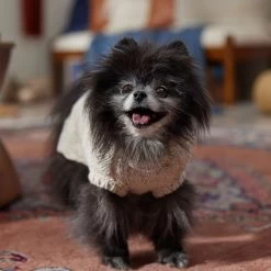 Frisco Sherpa Lined Chunky Cable Knit Dog & Cat Sweater 16 Frisco Sherpa Lined Chunky Cable Knit Dog & Cat Sweater -Frisco 718518 PT7. AC SS1800 V1692378338