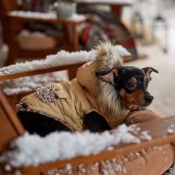 Frisco Heavy Weight Matte Quilted Dog & Cat Parka With Cozy Fleece Lining -Frisco 719654 PT7. AC SS1800 V1692376037