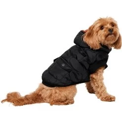 Frisco Heavy Weight Matte Quilted Volume Dog & Cat Puffer -Frisco 719750 PT2. AC SS1800 V1703184628