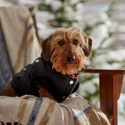 Frisco Heavy Weight Matte Quilted Volume Dog & Cat Puffer -Frisco 719750 PT7. AC SS1800 V1692377763