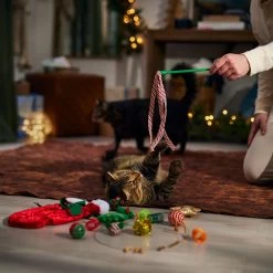 Frisco Holiday Cozy Christmas Sack Variety Pack Cat Toy With Catnip 10 Frisco Holiday Cozy Christmas Sack Variety Pack Cat Toy With Catnip -Frisco 740054 PT3. AC SS1800 V1694812461