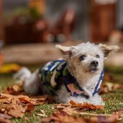 Frisco Medium Weight Urban City Camo Printed Dog & Cat Hooded Coat 18 Frisco Medium Weight Urban City Camo Printed Dog & Cat Hooded Coat -Frisco 742358 PT7. AC SS1800 V1692376368