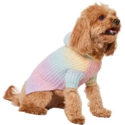 Frisco Soft Multi Stripe Ombre Dog & Cat Hooded Sweater -Frisco 742838 PT2. AC SS1800 V1703194379